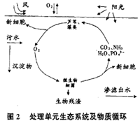 污水的濕地處理