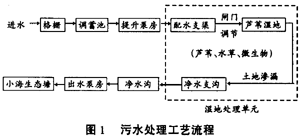 污水的濕地處理