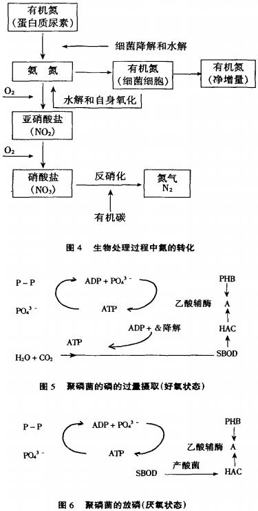 【污水處理公司】卡魯賽爾氧化溝系統(tǒng)工藝演變的推動(dòng)力