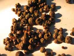 微電解- UBF- CASS 工藝處理制藥廢水