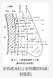 【污水處理工程】生物膜法處理水產(chǎn)養(yǎng)殖廢水