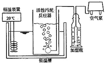【污水處理工藝】活性污泥培養(yǎng)以及馴化調(diào)試期間的監(jiān)測(cè)和控制