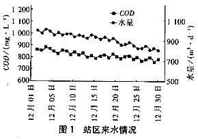 【污水處理廠】SBR運行中污泥膨脹的發(fā)生與控制