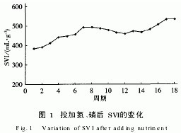 【酸洗廢水處理】印染廢水處理中的污泥膨脹與控制