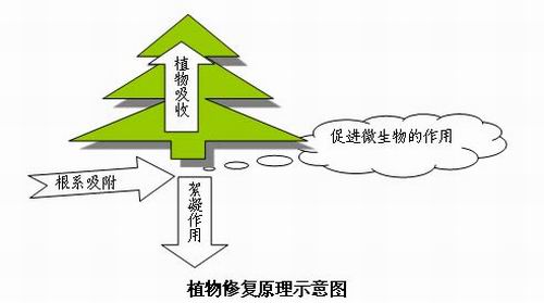 【噴漆廢水處理】（景觀）污染水體生物生態(tài)修復(fù)凈化解決方案