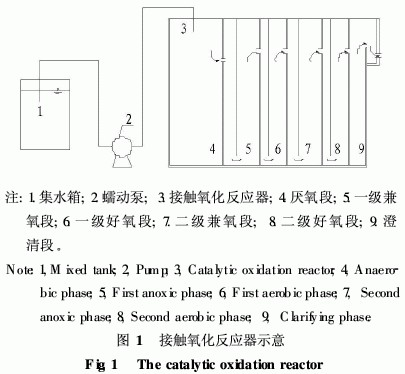 【污水處理技術(shù)】造紙廢水接觸氧化反應(yīng)器的啟動及微生物特性研究