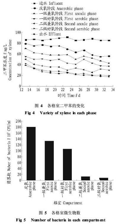 【污水處理技術(shù)】造紙廢水接觸氧化反應(yīng)器的啟動及微生物特性研究