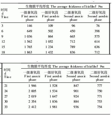 【污水處理技術(shù)】造紙廢水接觸氧化反應(yīng)器的啟動及微生物特性研究